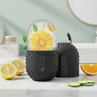 Radiant Ice Facial Roller Mold