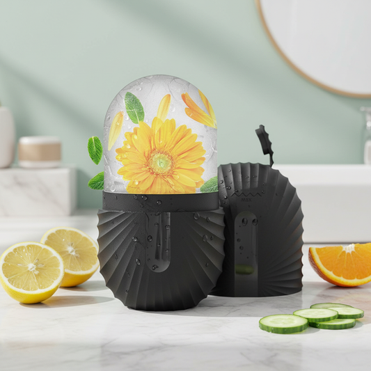 Radiant Ice Facial Roller Mold